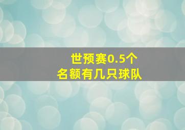 世预赛0.5个名额有几只球队