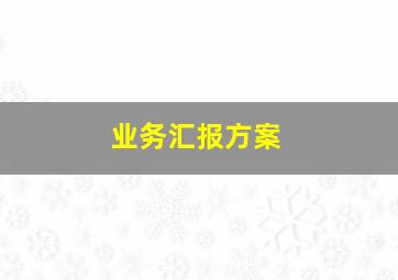 业务汇报方案