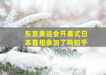 东京奥运会开幕式日本首相参加了吗知乎