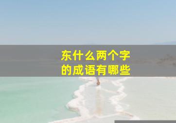 东什么两个字的成语有哪些