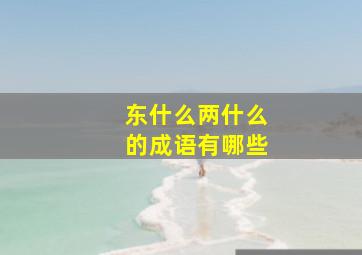 东什么两什么的成语有哪些