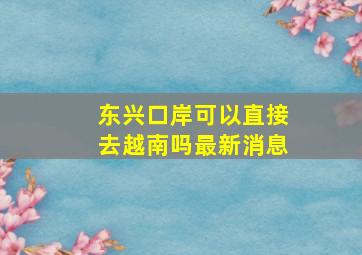 东兴口岸可以直接去越南吗最新消息