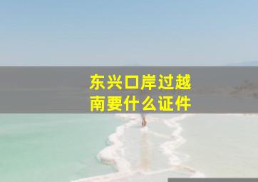 东兴口岸过越南要什么证件