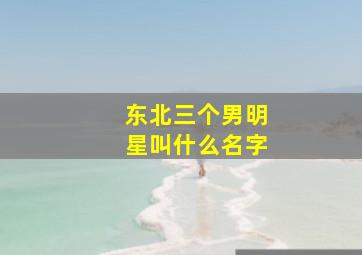 东北三个男明星叫什么名字