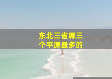 东北三省哪三个平原最多的