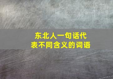 东北人一句话代表不同含义的词语