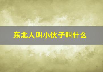 东北人叫小伙子叫什么