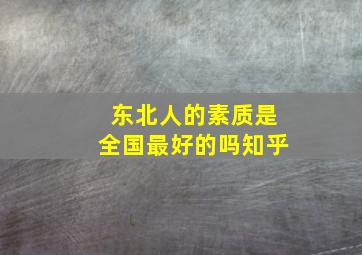 东北人的素质是全国最好的吗知乎