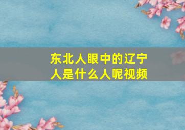 东北人眼中的辽宁人是什么人呢视频