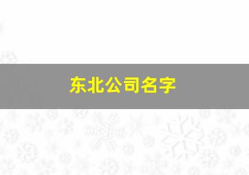 东北公司名字