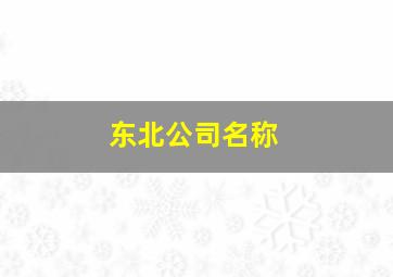 东北公司名称