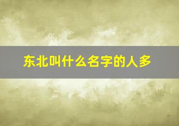 东北叫什么名字的人多