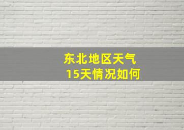 东北地区天气15天情况如何