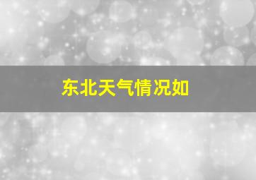 东北天气情况如