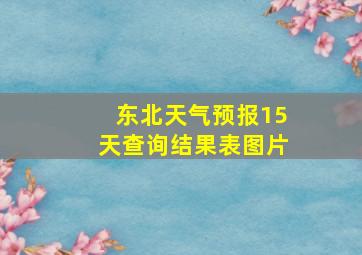 东北天气预报15天查询结果表图片