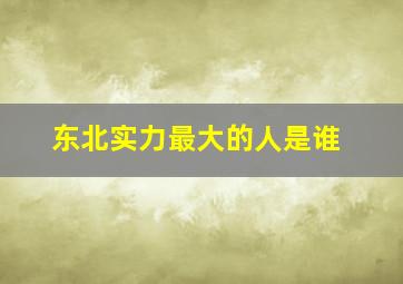 东北实力最大的人是谁