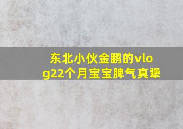 东北小伙金鹏的vlog22个月宝宝脾气真犟