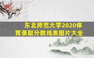 东北师范大学2020体育录取分数线表图片大全