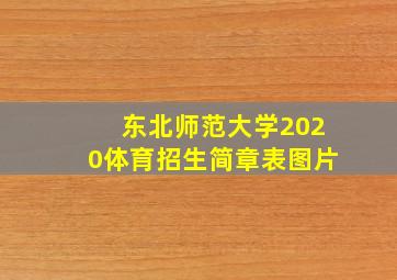 东北师范大学2020体育招生简章表图片