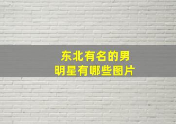 东北有名的男明星有哪些图片