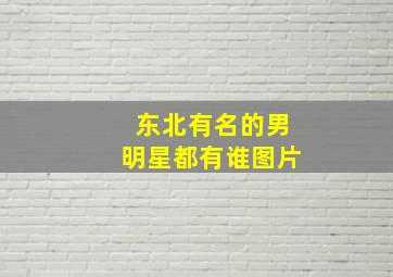 东北有名的男明星都有谁图片