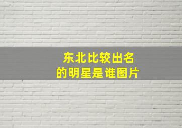 东北比较出名的明星是谁图片