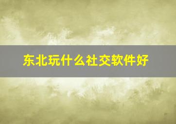 东北玩什么社交软件好