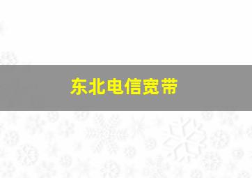 东北电信宽带