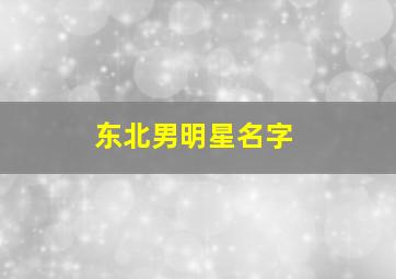 东北男明星名字