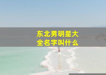 东北男明星大全名字叫什么