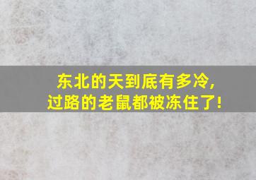 东北的天到底有多冷,过路的老鼠都被冻住了!