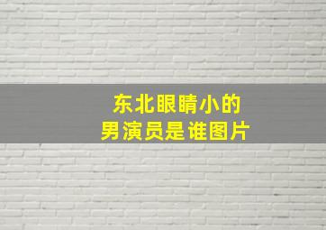 东北眼睛小的男演员是谁图片