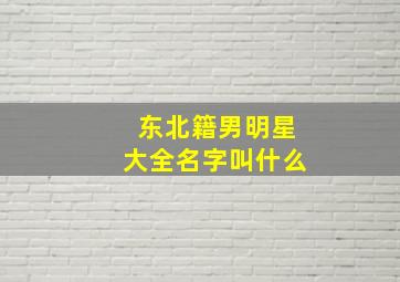 东北籍男明星大全名字叫什么