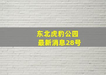 东北虎豹公园最新消息28号