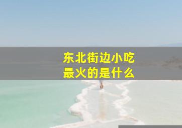 东北街边小吃最火的是什么