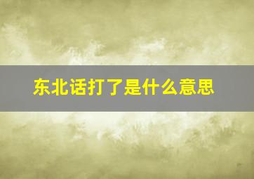 东北话打了是什么意思