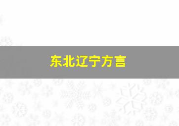 东北辽宁方言