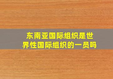 东南亚国际组织是世界性国际组织的一员吗