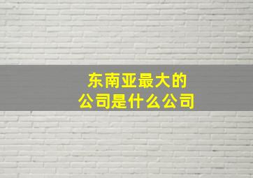 东南亚最大的公司是什么公司