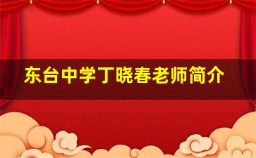 东台中学丁晓春老师简介