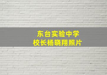 东台实验中学校长杨晓翔照片