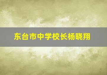 东台市中学校长杨晓翔