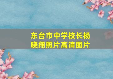 东台市中学校长杨晓翔照片高清图片