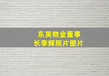 东吴物业董事长李辉照片图片