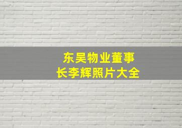 东吴物业董事长李辉照片大全