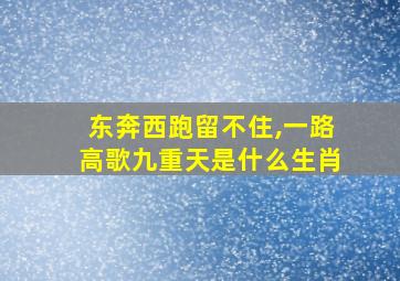 东奔西跑留不住,一路高歌九重天是什么生肖