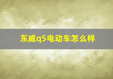 东威q5电动车怎么样