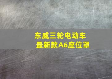 东威三轮电动车最新款A6座位罩