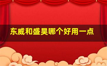 东威和盛昊哪个好用一点