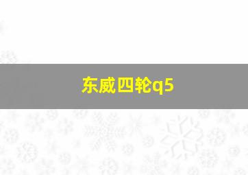 东威四轮q5